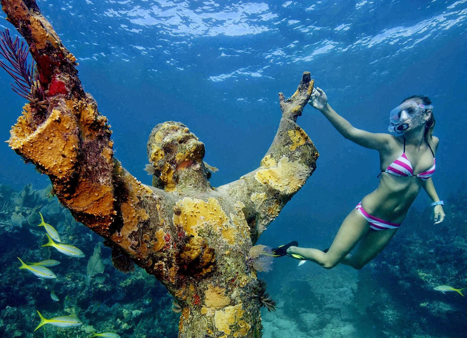 А это — одна из нескольких копий статуи, расположенная в районе подводного кораллового рифа Dry Rocks, Флорида, США. Моря и океаны, интересное, подводный мир