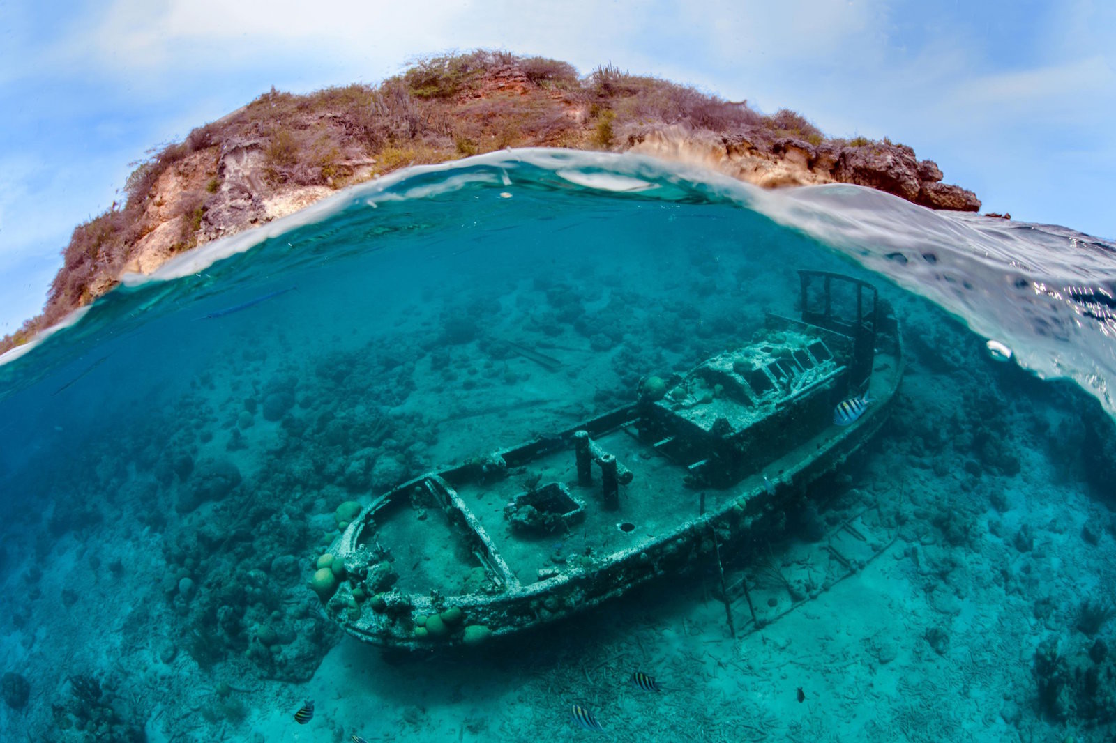Затонувший буксир «Саба», остров Кюрасао. Моря и океаны, интересное, подводный мир