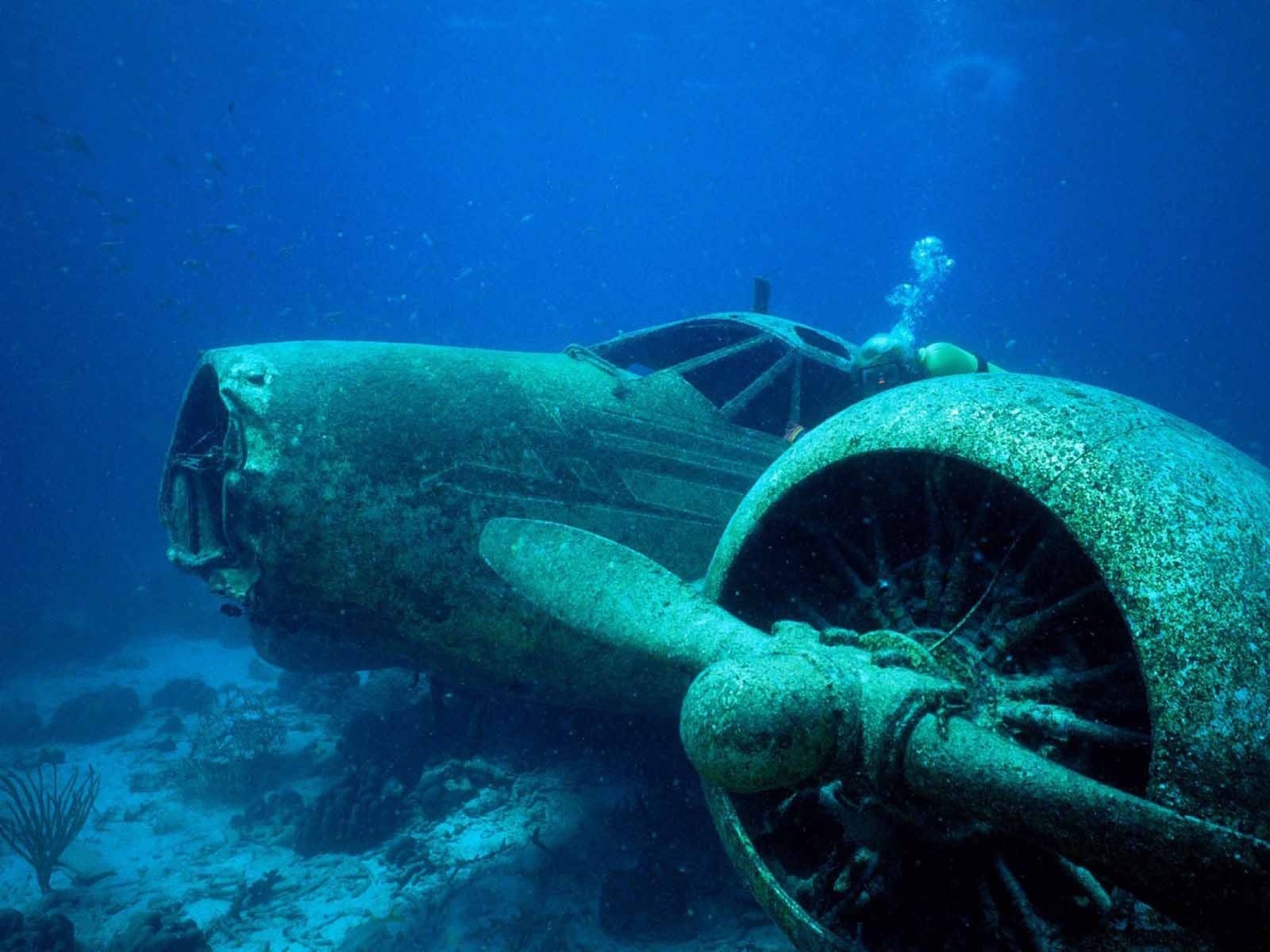 Затонувший самолёт на дне Карибского моря, Аруба. Моря и океаны, интересное, подводный мир