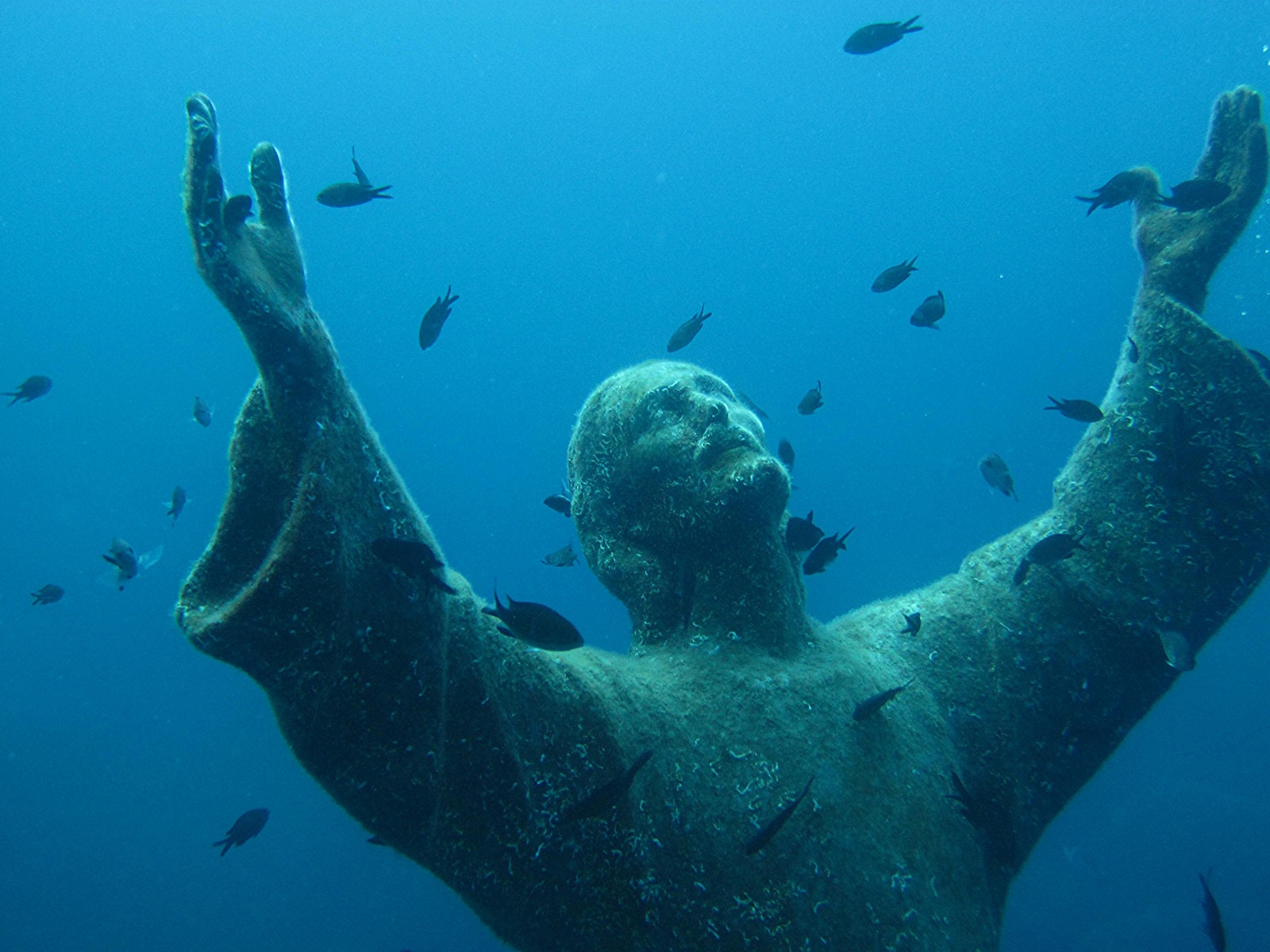 Оригинальная статуя «Христос из Бездны», находящаяся на дне моря, в бухте Сан-Фруттуозо, неподалёку от Генуи. Моря и океаны, интересное, подводный мир