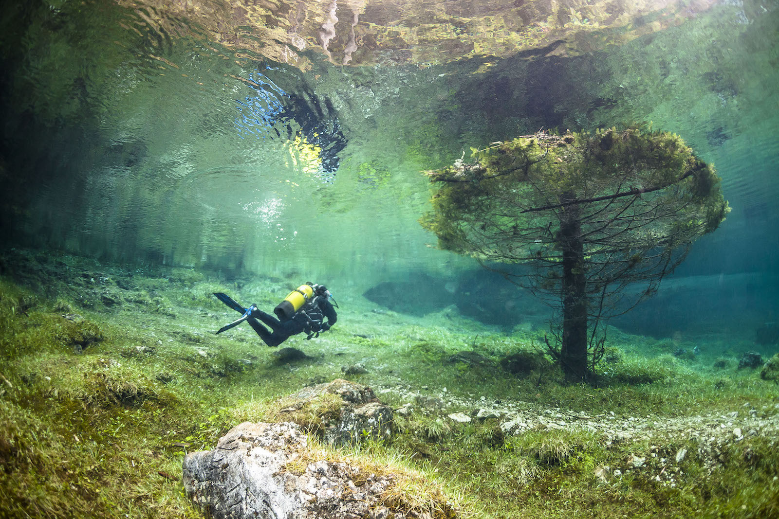 Парк Грин-Лейк, который ежегодно после таяния снегов на Крастовых горах, погружается под воду,Трагёс, Австрия. Моря и океаны, интересное, подводный мир