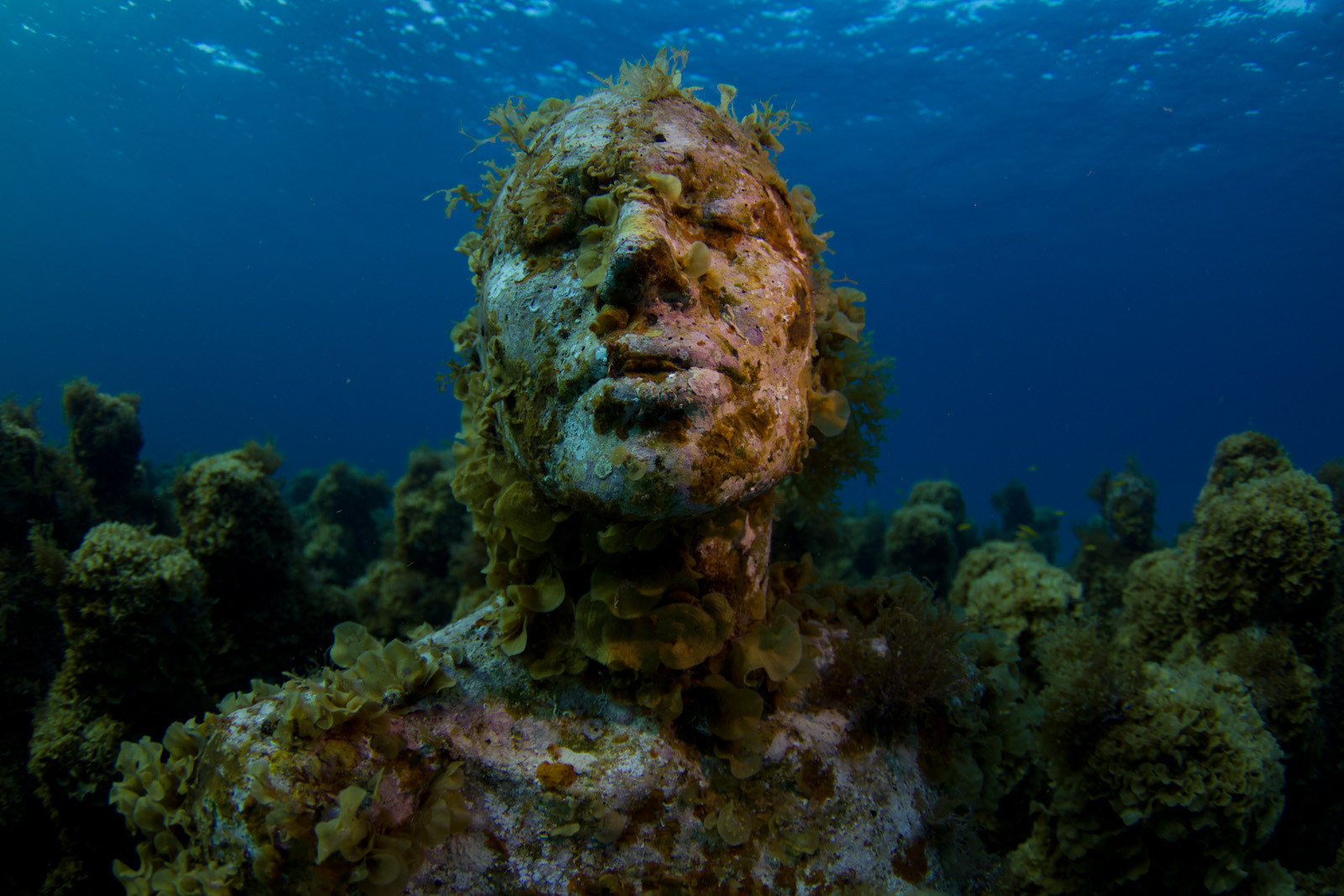 Часть скульптурной композиции подводного музея MUSA, Канкун, Мексика. Моря и океаны, интересное, подводный мир