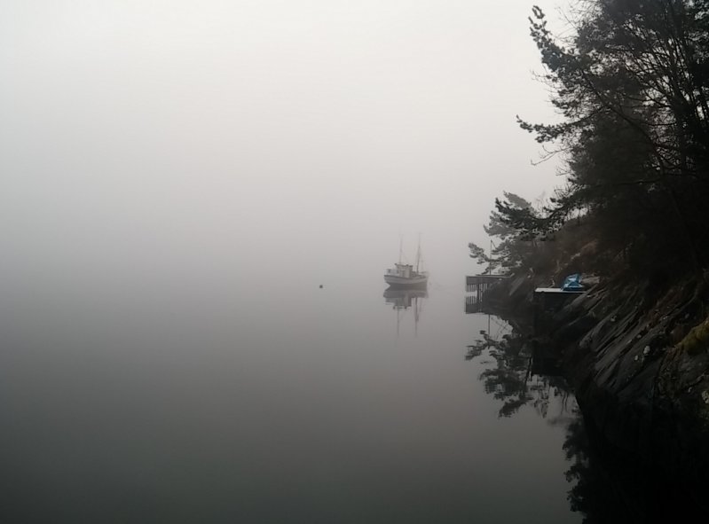 Озеро окутал туман