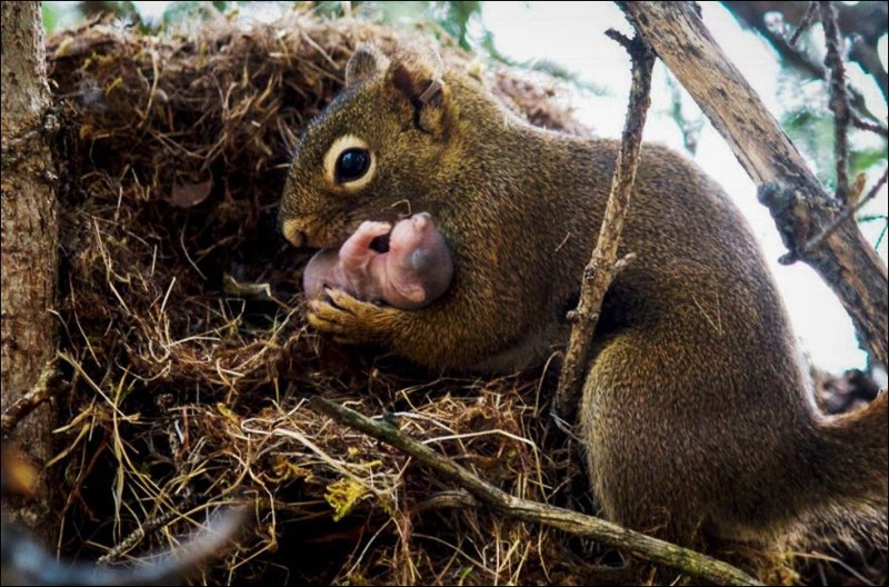 15 фотографий, сделанных в нужный момент