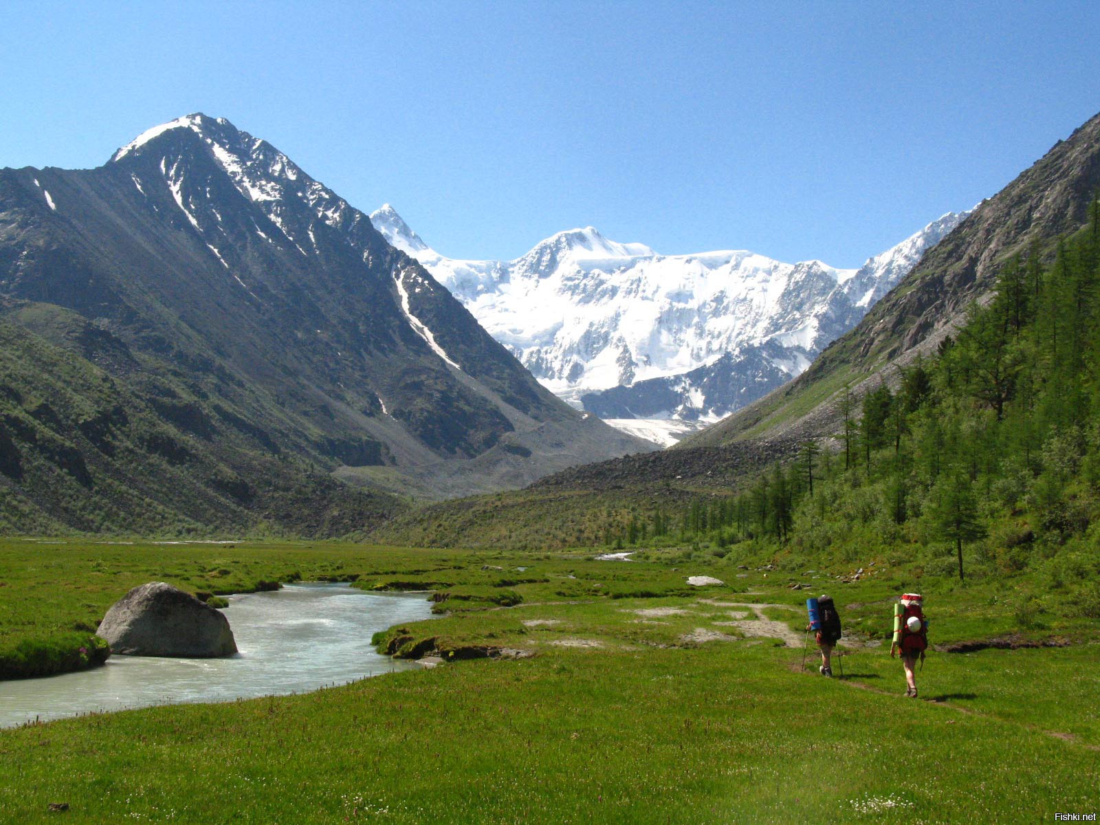 Куда горных. Белуха горный Алтай. Гора Белуха Алтайский край. Гора Белуха горный Алтай тур. Белуха горный Алтай летом.