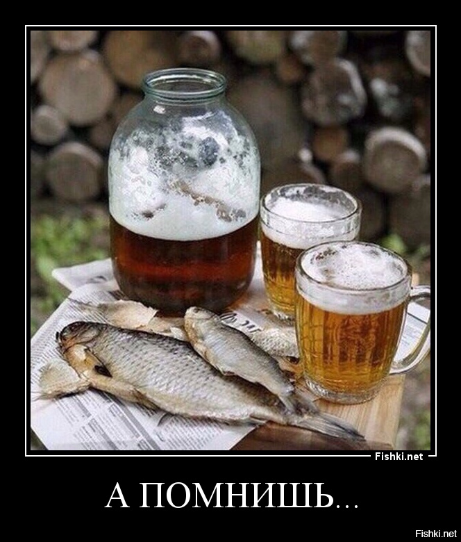 Вобла смешные картинки