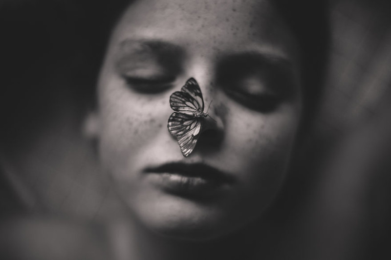10. Домашняя бабочка. Фотограф: Kelly Tyack, Австралия (3-е место в номинации "Художественная фотография", 2 этап)