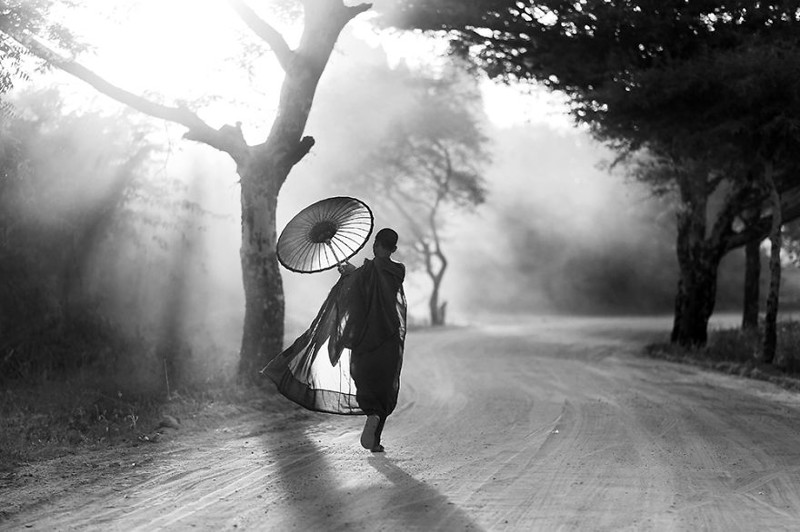 7. Дорога домой. Фотограф: Chee Keong Lim, Малайзия (1-е место в номинации "Документальная и уличная фотография", 1 этап) 