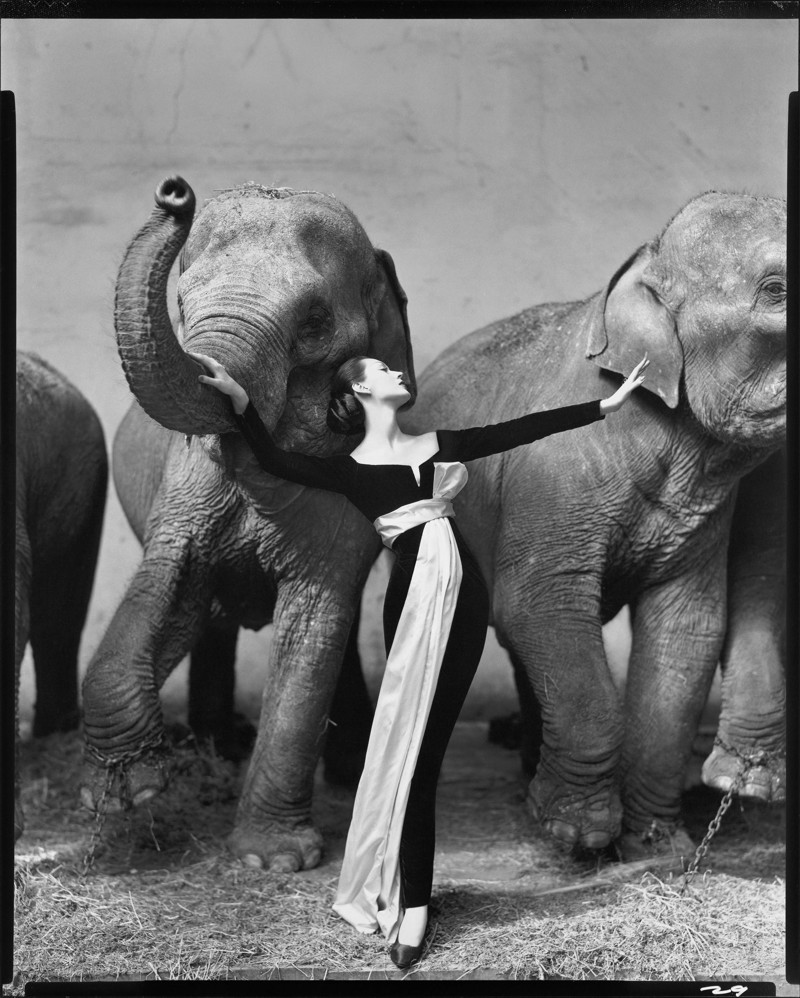 «Довима и слоны» (1955)