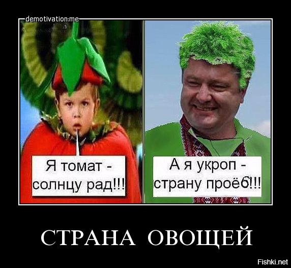 Закаты, картинка укроп прикол