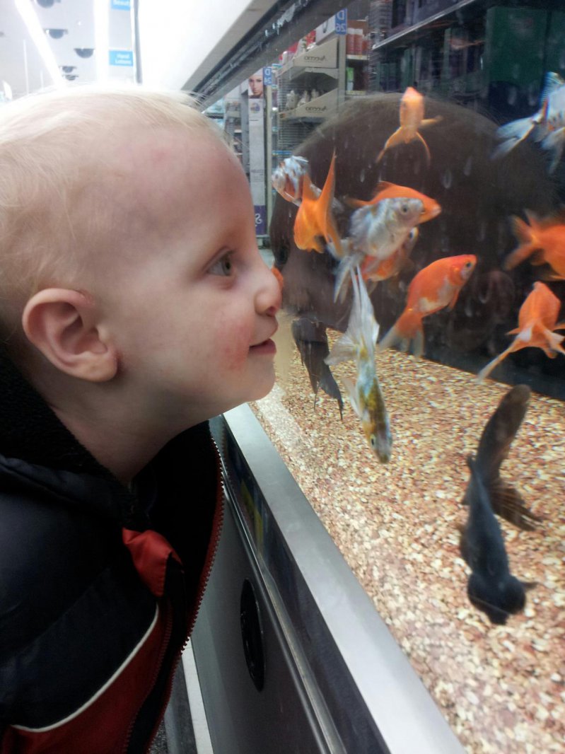 Ребенок увидел рыбок