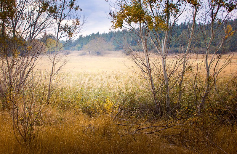 Морозное утро в Крыму (под Евпаторией)