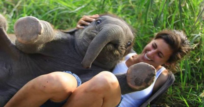 Слоники тоже любят обниматься!
