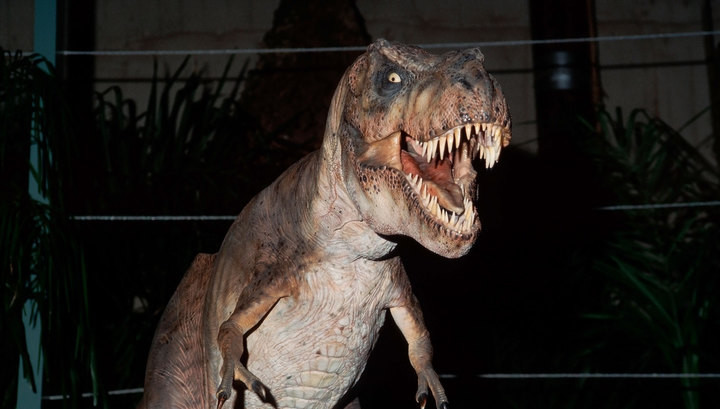 В США обнаружили беременного тираннозавра возрастом более 60 миллионов лет