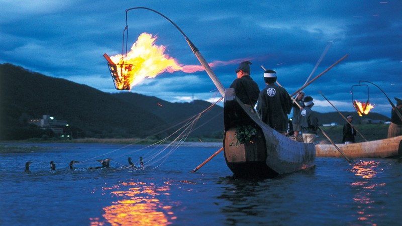 Рыбаки в древней Японии использовали прирученных бакланов.