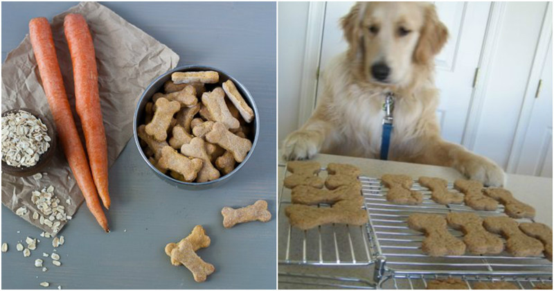 Твой пёс немного приуныл? Приготовь ему вкусные и полезные печеньки для поднятия духа!