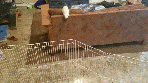 Маленькая месть