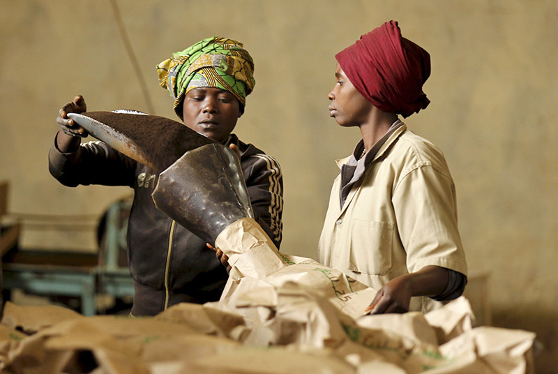 Работницы пакуют чай на экспорт