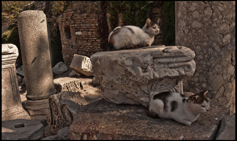 9. Кажется, они чрезвычайно довольны, что нашли это уютное местечко в Эфесе, Турции 