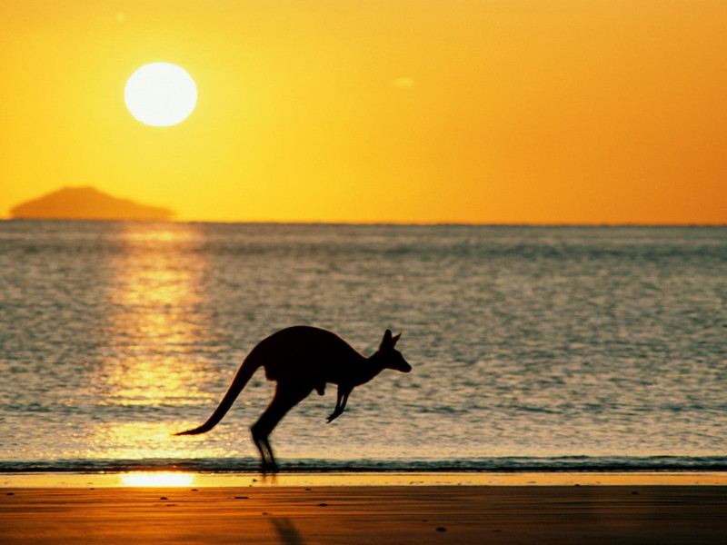  20 интересных фактов об Австралии  