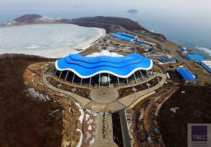 Приморский океанариум на острове Русский во Владивостоке. Часть 1