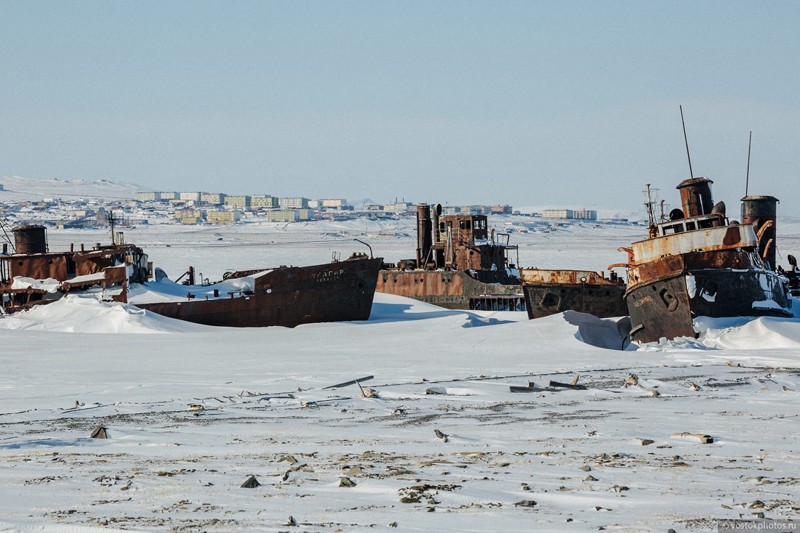 Тикси - суровый арктический оазис