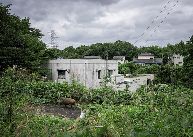 Как выглядит японский Чернобыль. Фукусима -5 лет после аварии