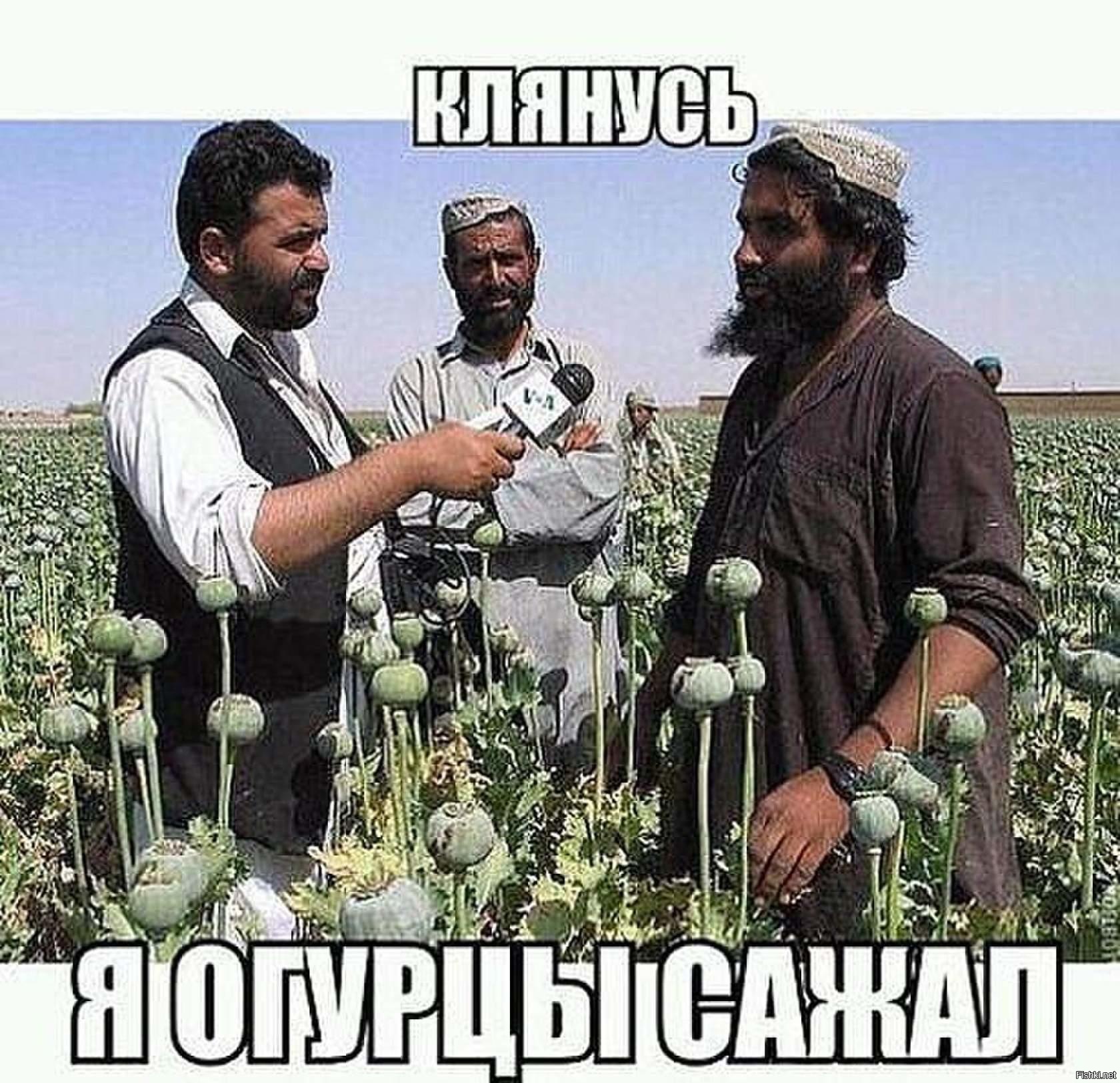 Клянусь смешные картинки