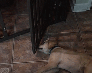 Разве тут уснешь