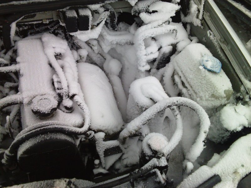 На Камчатке за ночь снегом завалило все автомобили