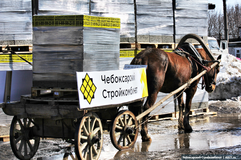 Платон лошадь. Тпру. Лошадь тпру. Лошадь заправляют бензином юмор. Тпру тпру тпру.