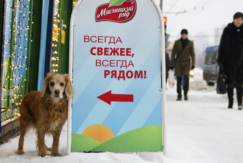 Когда камера удачно подловила тот самый момент