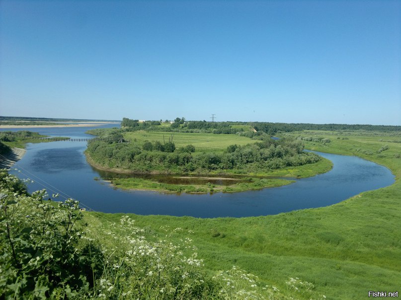 Погода в н тойме кировской. Ракулка Красноборский район Архангельская область. Деревня Ракулка Красноборский район. Река нижняя Тойма Архангельская область.