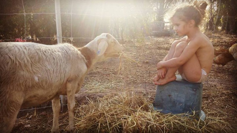 Эта маленькая девочка не знает жизни без животных