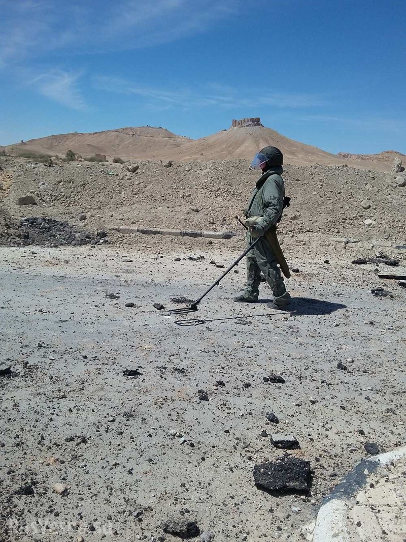 Пальмира: российские саперы с собаками ликвидируют мины ИГИЛ
