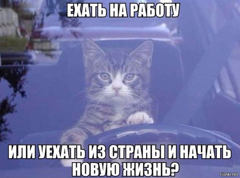 Еду на работу картинки