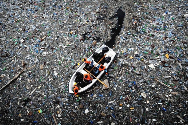 Мир без пластмасс: как аукнется бактерия, поедающая пластик