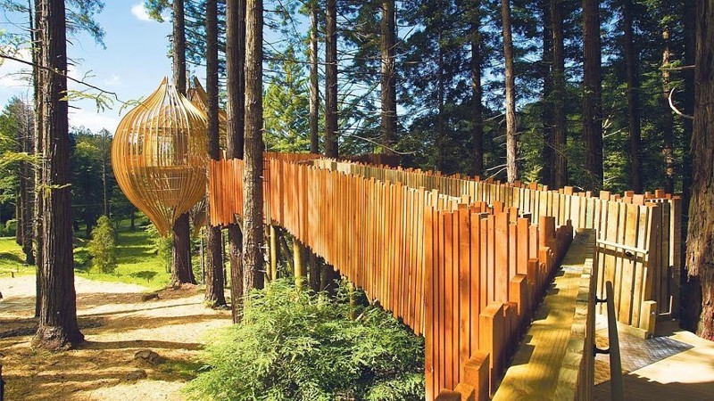 19. Redwoods Tree House, Окленд, Новая Зеландия