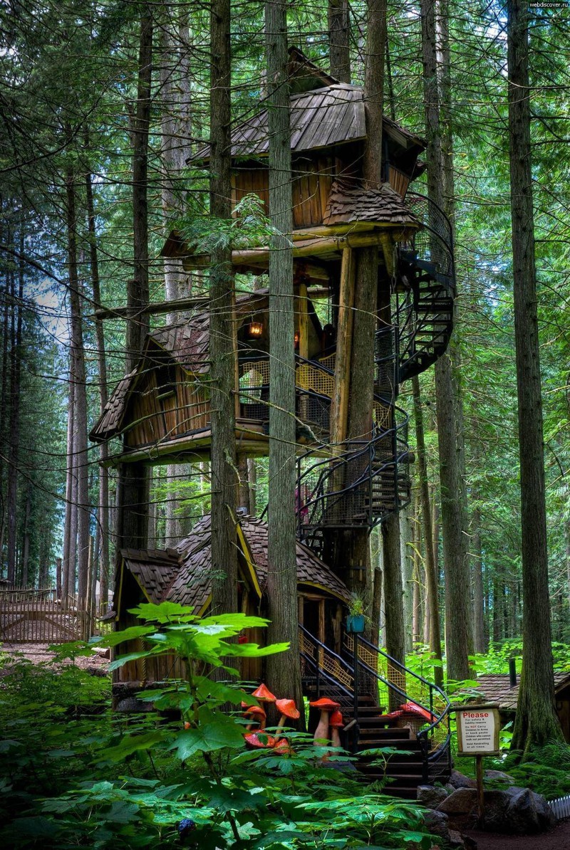 3. Three-Story Tree House, Британская Колумбия, Канада