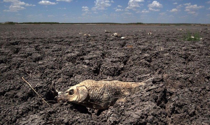 10 самых ужасных засух в истории