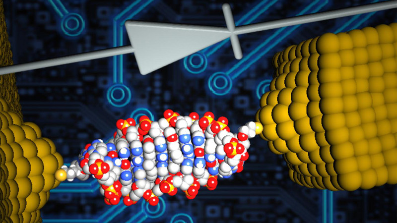 Самый маленький диод в мире сделан из ДНК