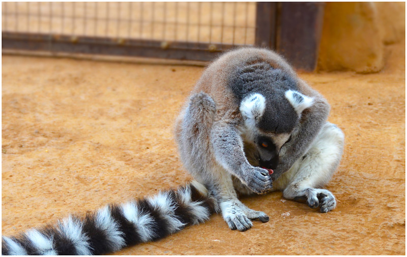 В связи с отсутствием