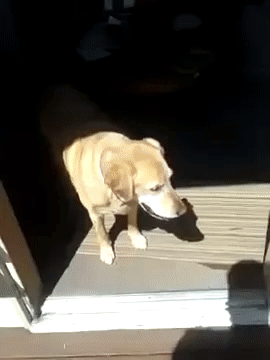 Дверь, которой нет