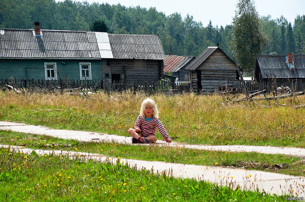 Колоритное фото значение