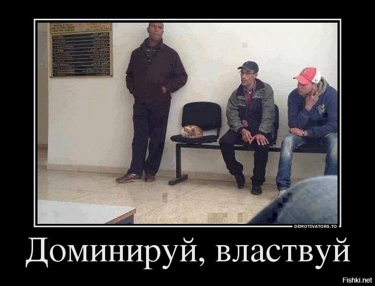Подчиняясь властвуй. Доминируй демотиватор. Властвовать и доминировать. Доминируй властвуй унижай картинки.