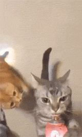 "А ну-ка, посторонись"