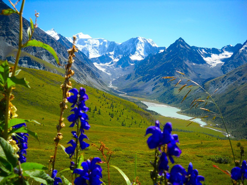 Алтайские горы летом