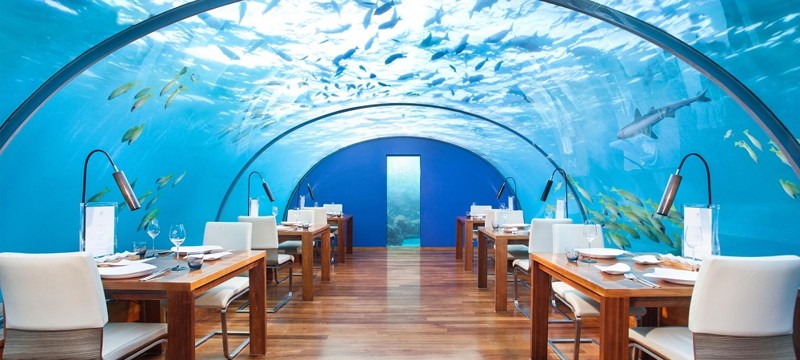 №6. Ithaa Undersea restaurant, Мальдивы - средний чек 19 500 руб.