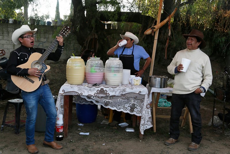 Пульке - напиток из сока агавы, который вытесняет из Мексики пиво