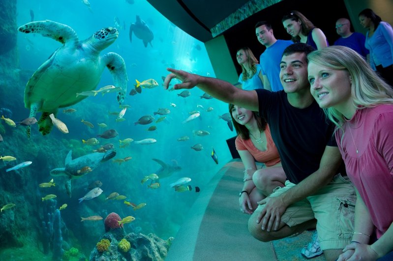 №8. Парк развлечений и морской зоопарк-океанариум SeaWorld Orlando - США